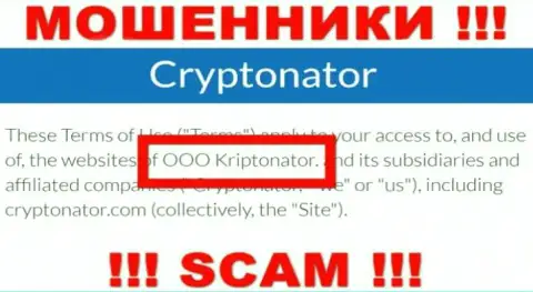 Компания Криптонатор Ком находится под руководством компании OOO Криптонатор