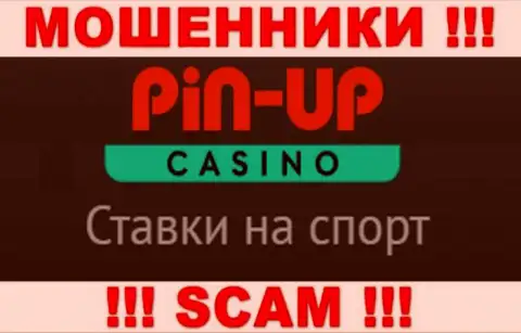 Основная деятельность PinUpCasino - это Casino, будьте крайне осторожны, действуют противоправно