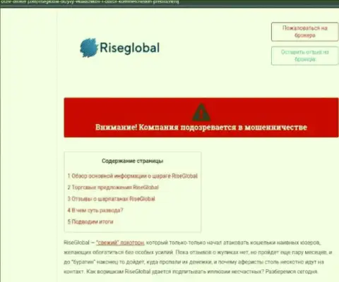 Внимательно просмотрите предложения взаимодействия RiseGlobal, в компании мошенничают (обзор мошеннических комбинаций)