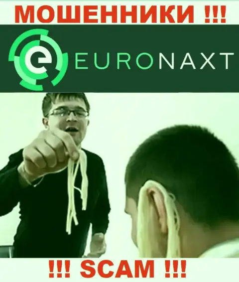 EuroNaxt Com намереваются раскрутить на сотрудничество ? Будьте крайне бдительны, мошенничают