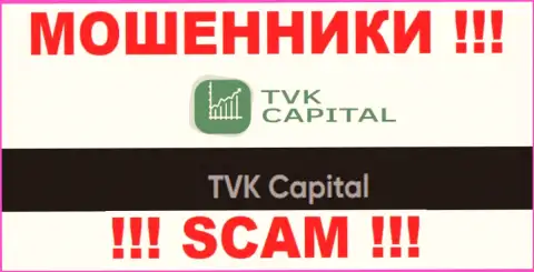 TVK Capital - это юридическое лицо лохотронщиков ТВККапитал Ком