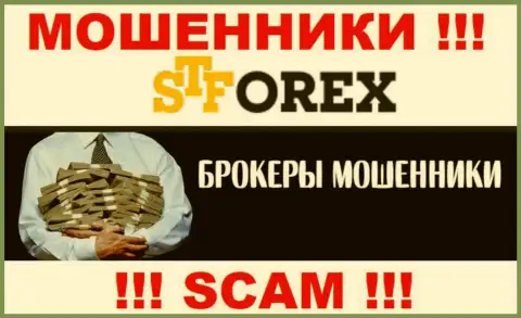 Мошенники STForex только задуривают мозги валютным игрокам, рассказывая про заоблачную прибыль