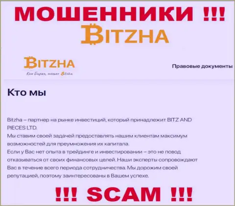 Bitzha 24 - это чистой воды интернет обманщики, направление деятельности которых - Инвестирование