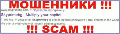 SkyPrimeBG Com - это МОШЕННИК ! SCAM !!!