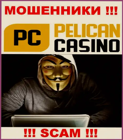 Люди управляющие организацией PelicanCasino Games предпочли о себе не афишировать