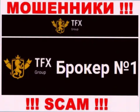 Не рекомендуем доверять деньги TFX Group, поскольку их сфера деятельности, Форекс, разводняк