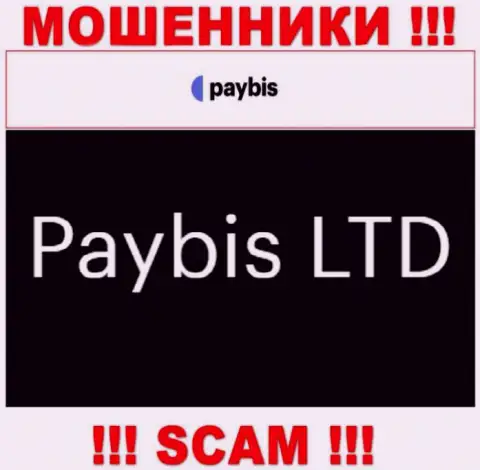 ПэйБис Лтд владеет организацией PayBis это ВОРЫ !!!