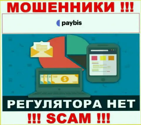 У PayBis на веб-портале не опубликовано инфы о регулирующем органе и лицензии конторы, следовательно их вообще нет