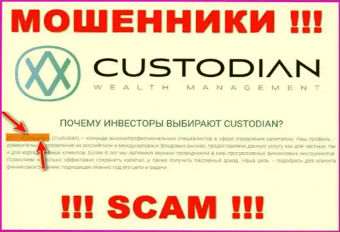 Юридическим лицом, управляющим internet-лохотронщиками Custodian, является ООО Кастодиан