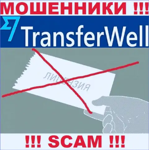 Вы не сможете откопать данные о лицензии мошенников TransferWell Net, так как они ее не смогли получить