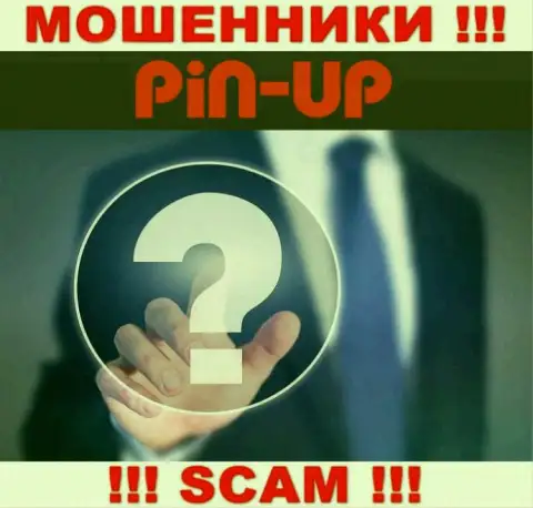Не работайте совместно с интернет мошенниками PinUp Casino - нет информации о их непосредственных руководителях