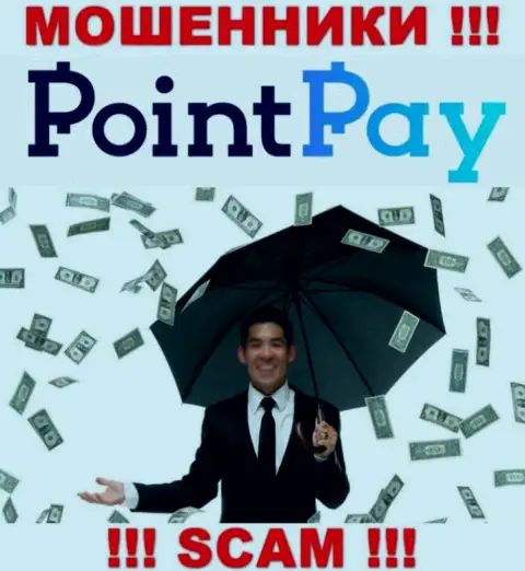 Не попадите в руки internet-мошенников Point Pay, вложения не увидите