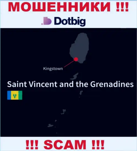 Dot Big имеют оффшорную регистрацию: Kingstown, St. Vincent and the Grenadines - будьте весьма внимательны, мошенники