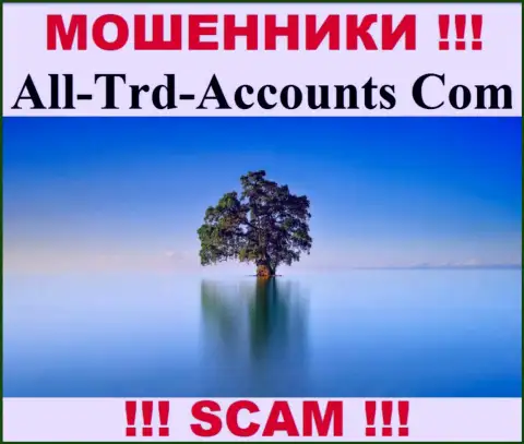 All Trd Accounts крадут средства и остаются без наказания - они скрыли сведения о юрисдикции