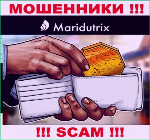 Криптовалютный кошелек - именно в этой области прокручивают свои делишки настоящие internet аферисты Maridutrix