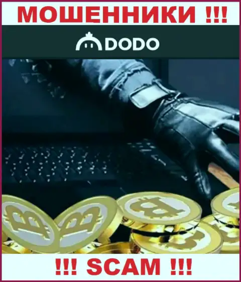Не надейтесь на безопасное сотрудничество с Dodo Ex это хитрые internet ворюги !!!