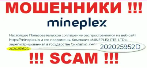 Регистрационный номер еще одной незаконно действующей организации Mine Plex - 202025952D
