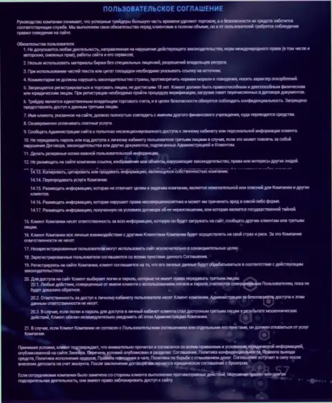 Пользовательское соглашение Зинеера, представленное на интернет-ресурсе организации