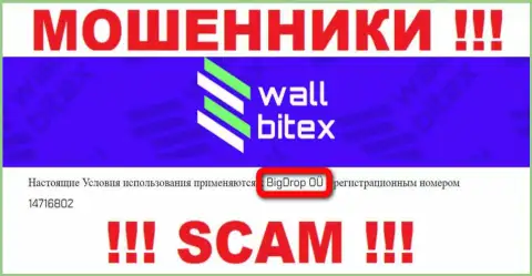 Wall Bitex - это МОШЕННИКИ ! Владеет данным лохотроном BigDrop OÜ