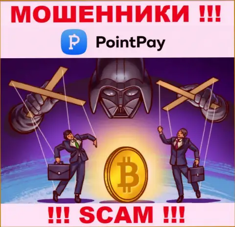 Point Pay LLC - это интернет-мошенники, которые склоняют доверчивых людей совместно сотрудничать, в итоге обдирают