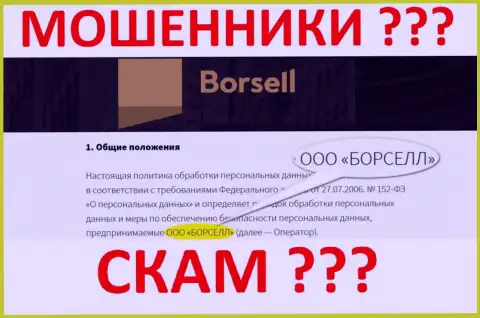 ООО БОРСЕЛЛ - это компания, владеющая интернет-мошенниками Борселл