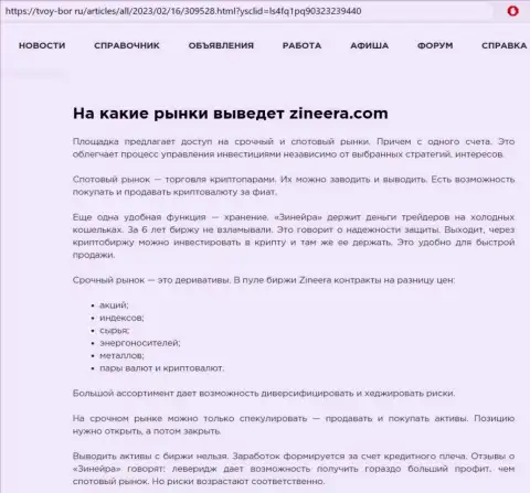 Информация о внушительном перечне инструментов для совершения торговых сделок компании Zinnera, выложенная на сайте Tvoy Bor Ru